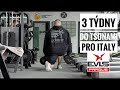 JAN TUREK IFBB PRO - 3 týdny do TSUNAMI PRO ITALY 2022