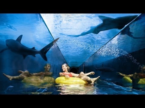 Shark Attack and other cool rides at Atlantis Dubai Aquaventure