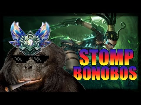 How to STOMP b00st3d b0n0b0 Diamondplayers as Nidalee xdxd (Patch 6.19)