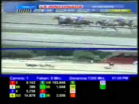 1ERA CARRERA SABADO 7 ABRIL LA RINCONADA AUDIOHIPISMO.wmv