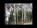 Largo from The Four Seasons by Antoni Vivaldi arranged by Jeffrey Goodman