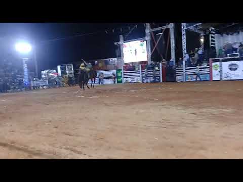 Rodeio de Getulina 2019