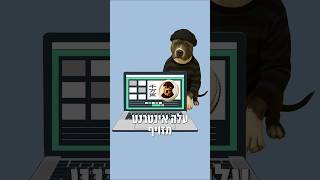 מה זה קריפטו?