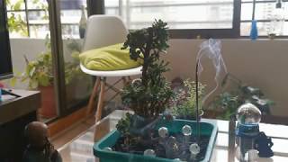 Here - Eric Lau ft. Rahel  [Absolution Music Network]