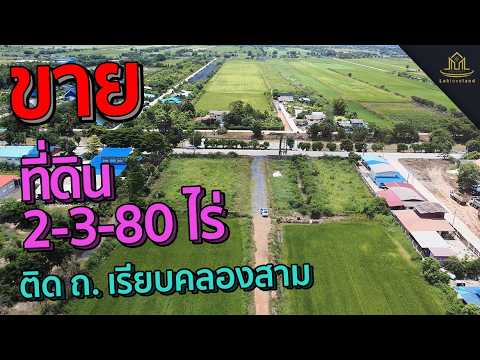 ขายที่ดินคลองสาม 2 แปลงติดกัน รวม 1,180 ตร.ว. ติดถนนเลียบคลองสาม ใกล้ตลาดพี่ญาคนรุม รูปแปลงสวย – รูปที่ 2
