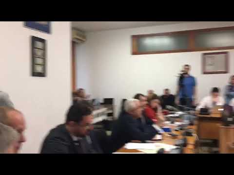 Mediafax 12 Februarie - Daea, enervat de un liberal: V-a intrat cormoranul în cap?