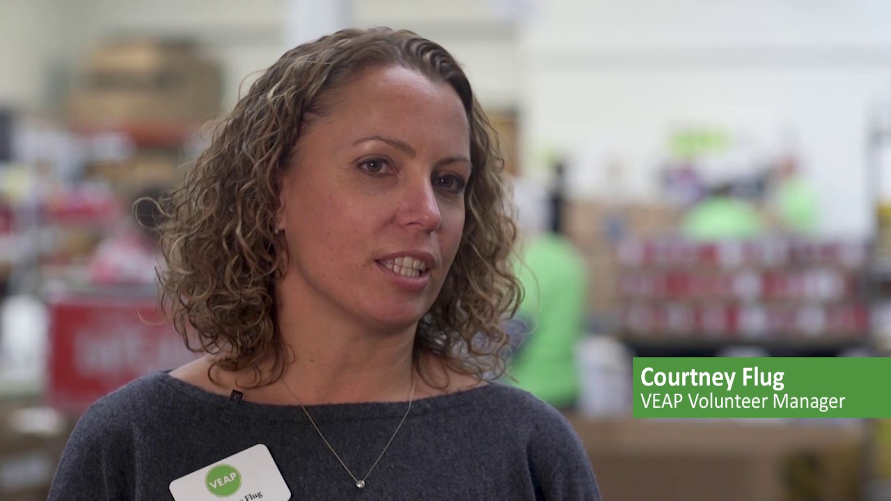 VEAP's Mission and Programs