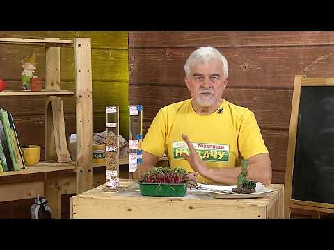 Вперёд, товарищи! На дачу! Выпуск от 10.03.26