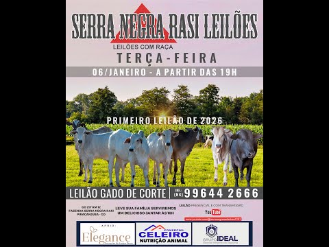 LEILÃO  SERRA NEGRA RASI LEILÕES - PIRACANJUBA - GO | 06 DE JANEIRO 2026