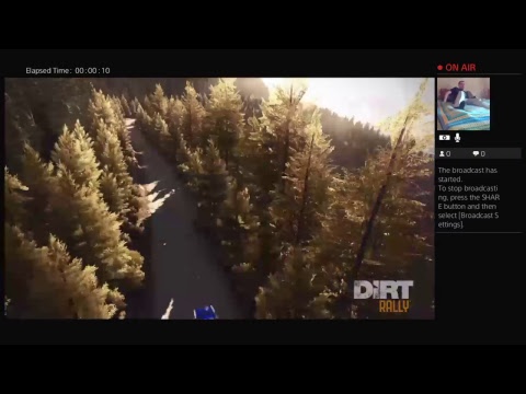 Shim Plays Dirt Rally On PS4