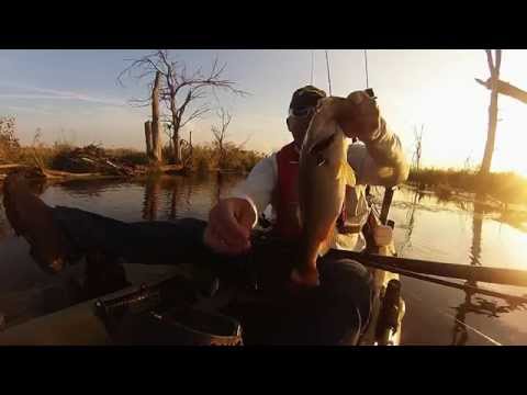 Kayak Fishing; Midwest Fall Hobie Kayak Fishing Episode 1 on Hobie Revo 13