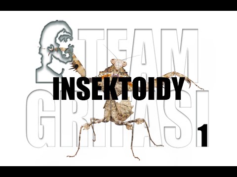 #Insektoidy-sesja badawcza