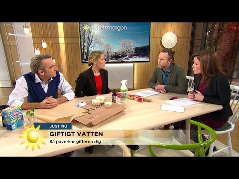 Pizzakartonger, bakplåtspapper och skidkläder innehåller farliga - Nyhetsmorgon (TV4)