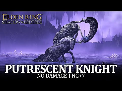 Putrescent Knight Boss Fight (No Damage / NG+7) [Elden Ring DLC]