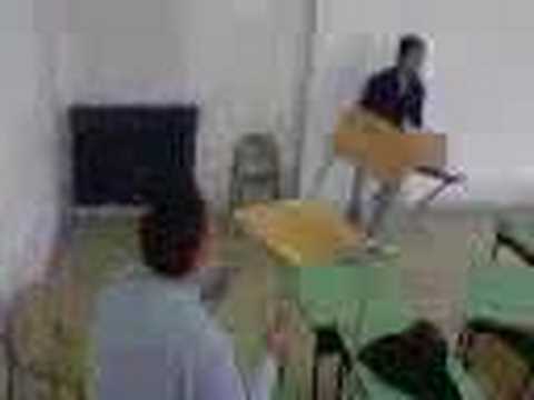 pacinotti scafati circo