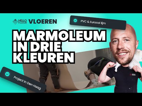 Installing Marmoleum in 3 colors in The Hague | PVC & Eurocol glue | Hello Floor Vlog 4 - Part 2