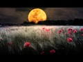 Glenn Miller - Moonlight Serenade 