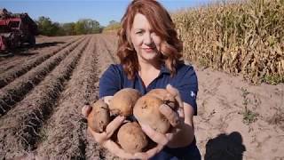 Weis Local Produce