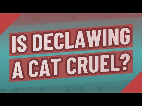 Is declawing a cat cruel?