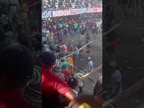 así fue el percance que tubo este garrochero en arenal bolivar con este toro #toros  #viral