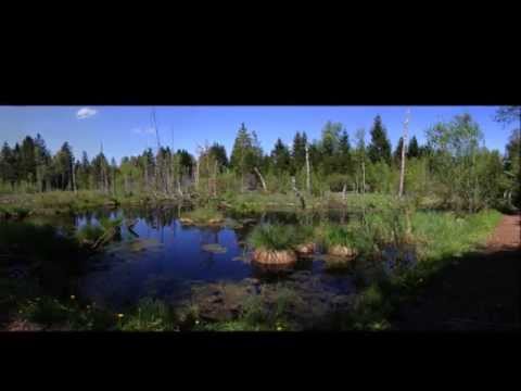 Legende von August Nölck