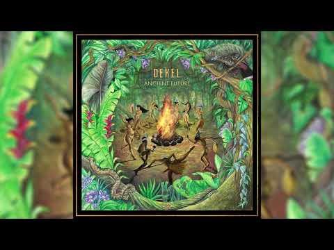 Freedom Fighters x Dekel -  Formation