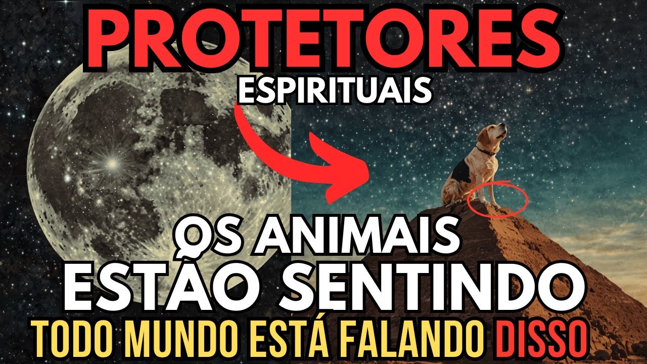 ALERTA! OS ANIMAIS SENTEM UMA PODEROSA ENERGIA CHEGANDO! ESTAMOS PREPARADOS?