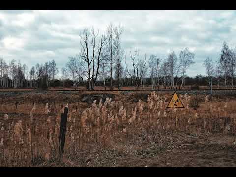 Gramafonia - La Fontaine