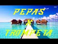 Pepas VS Trompeta - Farruko VS Willy William (CRAYS Remix)