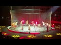 Ringling Brothers Circus