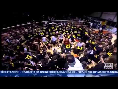 I giovani Bees incontrano i campioni Consultinvest Pesaro Basket