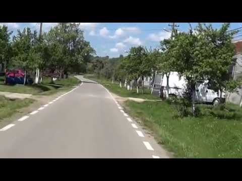 Sinteşti, Timiș, România