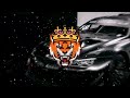 Дикая Львица (DJ Mexx & DJ Karimov Radio Remix)(BassBoosted) | lion roar | tiktok trends