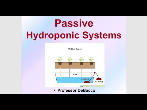 , title : 'Passive Hydroponic Systems'