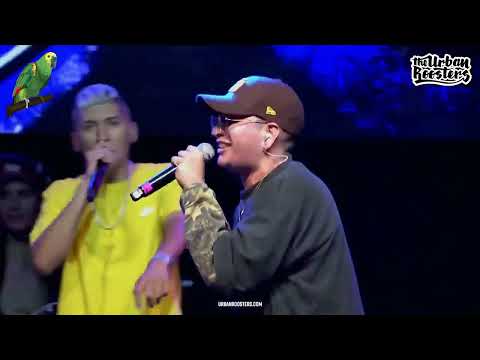 Anubis Minutazo / FMS chile 2022 - 2023