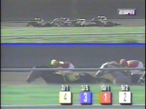 1996 Del Mar Breeders' Cup Handicap