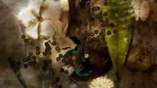 Stars of the Lid And Their Refinement of the Decline - Another Ballad for Heavy Lids