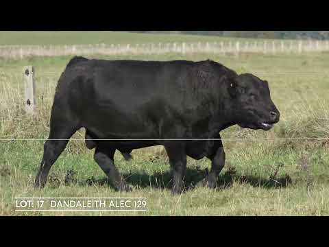 Lot 17 DANDALEITH ALEC 129