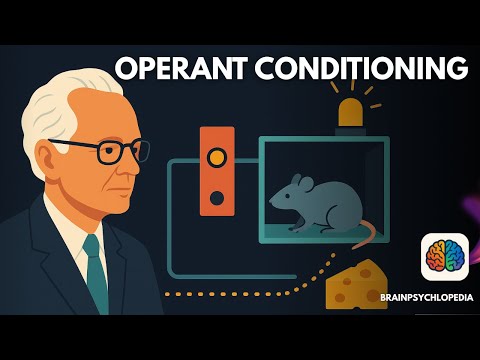 What is Operant Conditioning (Reinforcement Learning)?