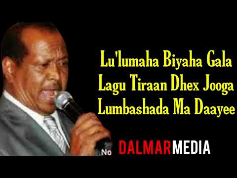 Xasan Aadan Samatar hestii Lulumaha biyaha gala with lyrics 2021