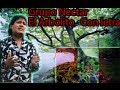 Grupo nectar el arbolito con letra 