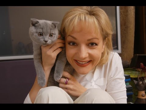 Человек и кошка  - Татьяна Буланова (2016)