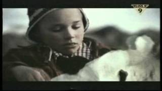 Ventura - Ase