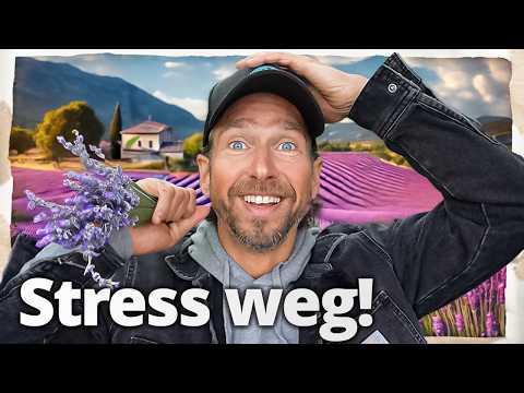 Meine Zauberformel für perfekten Schlaf & gegen Stress! | Echter Lavendel + X