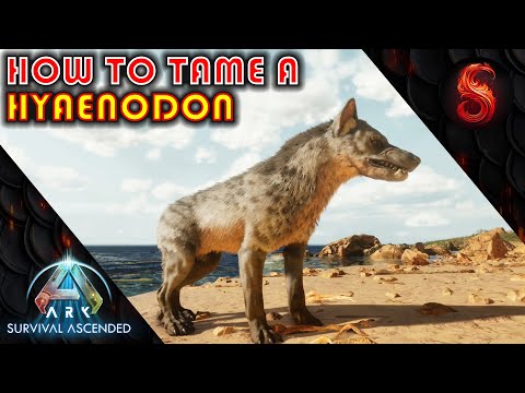 ARK SURVIVAL ASCENDED HOW TO TAME A HYAENODON