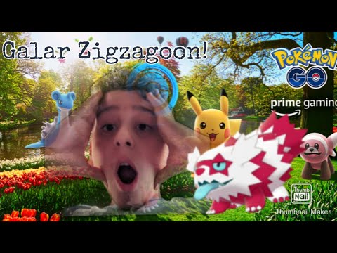 Pokemon Go Galar Zigzagoon Community Day! AMAZING