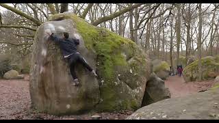 Video thumbnail of Contrôle Technique, 7c+. Fontainebleau