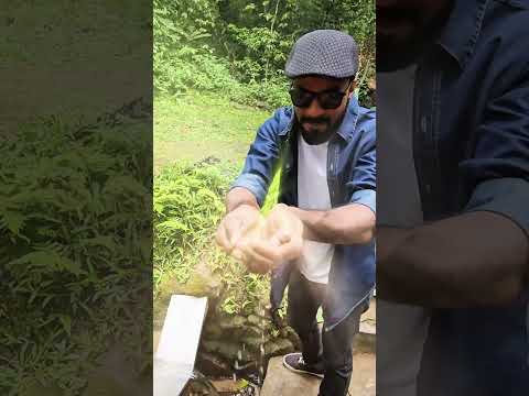 Gringa desbravando o Brasil. Edição São Paulo. Salesópolis         #gringa #gringanobrasil #casaltop