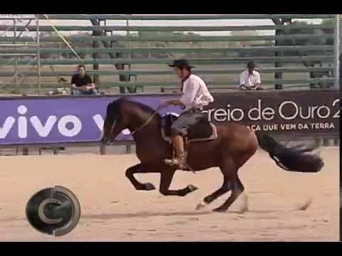 Las Callanas Mil Razones T.E. - Quarto Colocado no Bocal de Ouro 2015, uma máquina funcional!