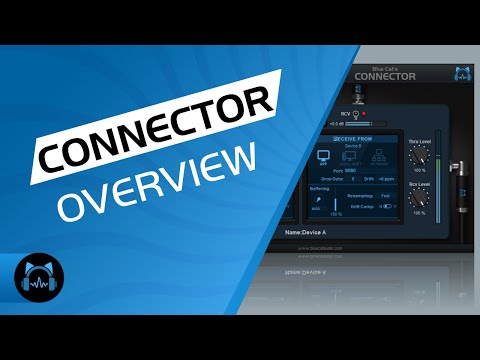 Blue Cat's Connector, The Virtual Cable Plug-In In Action